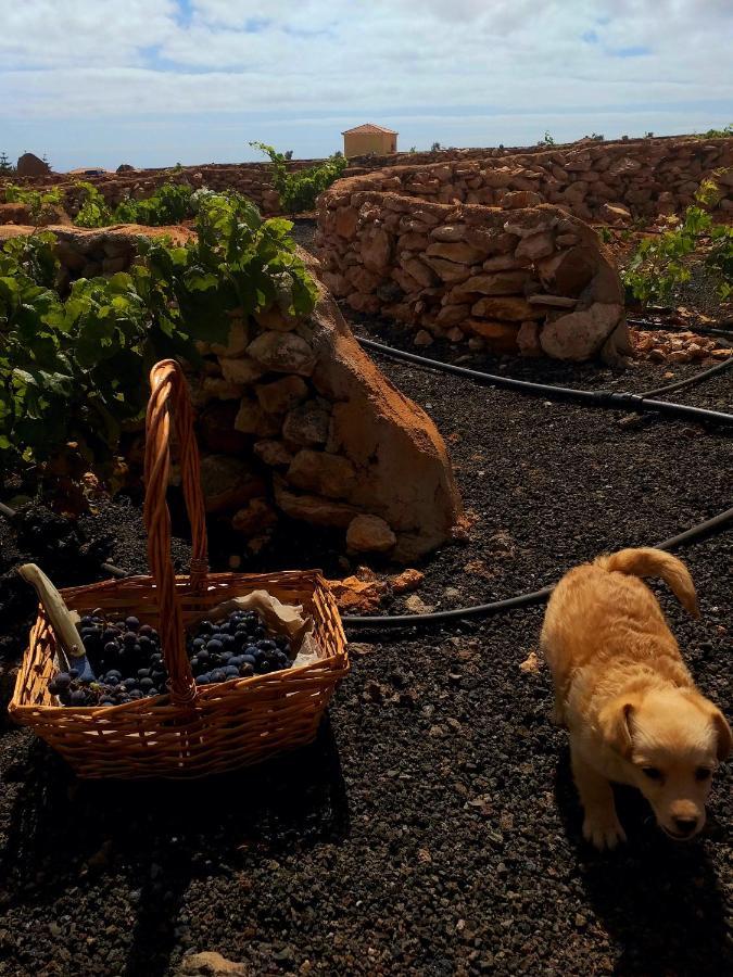 Agriturismo El Bounty1 بويرتو ديل روزاريو المظهر الخارجي الصورة