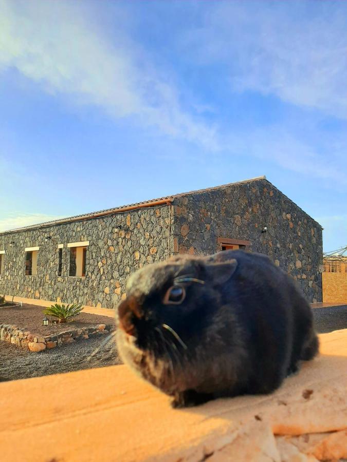 Agriturismo El Bounty1 بويرتو ديل روزاريو المظهر الخارجي الصورة